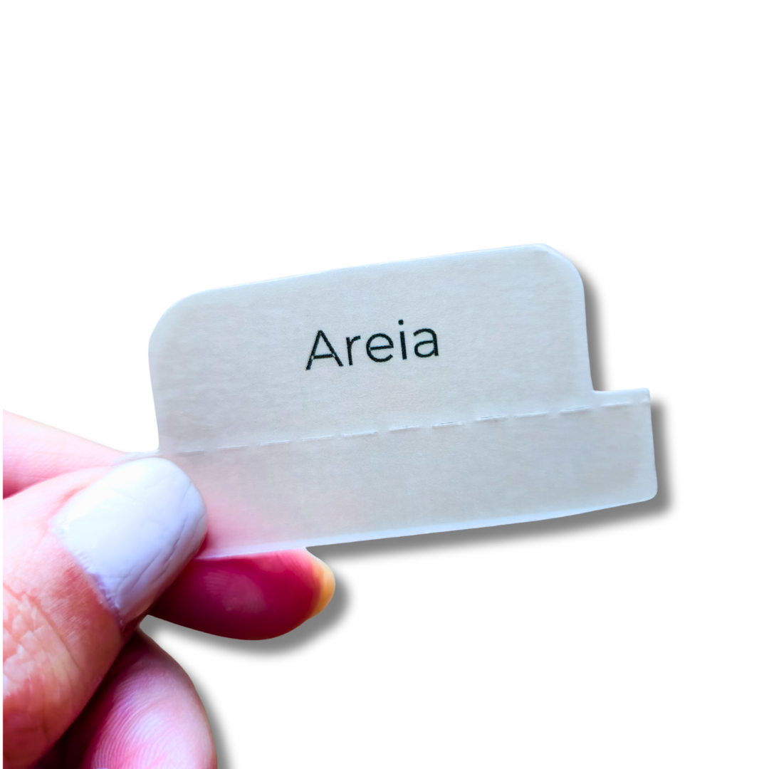 Abas Bíblicas Minimalistas (Evangélica e Católica)